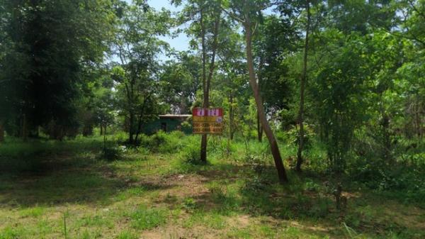 �͹�� �� zionasset1