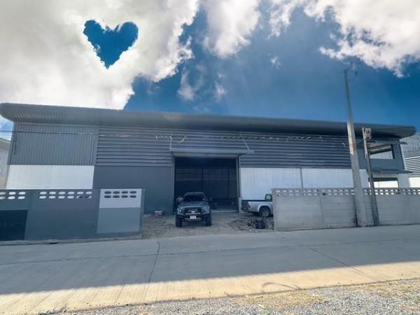 �����ҹ� �� biw