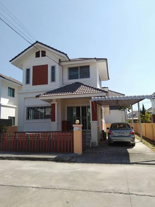 �Ң�ѭ �Ź�����