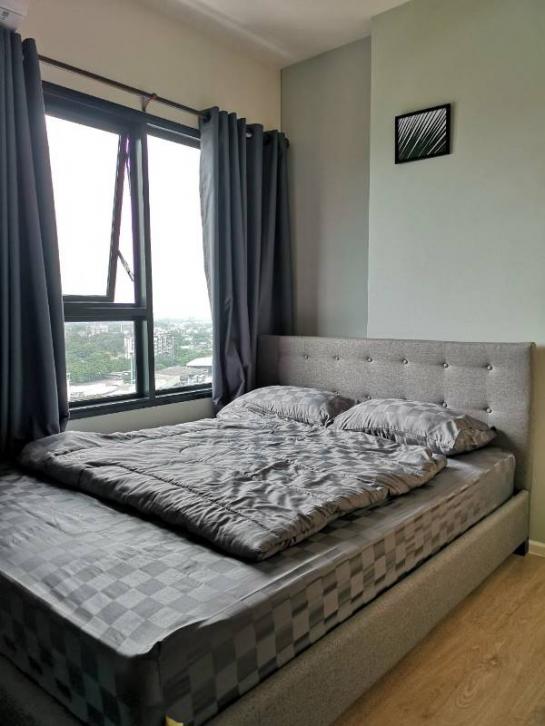 �Ң�ѭ �Ź�����