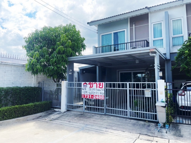 ��ǹ��������������� ���١��