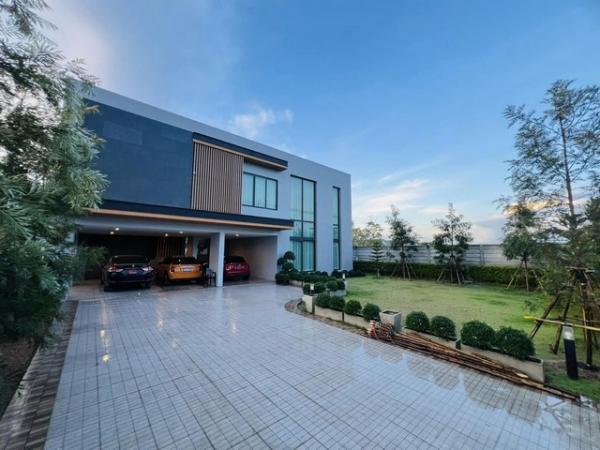 �ѭ���� �� kulchaya1