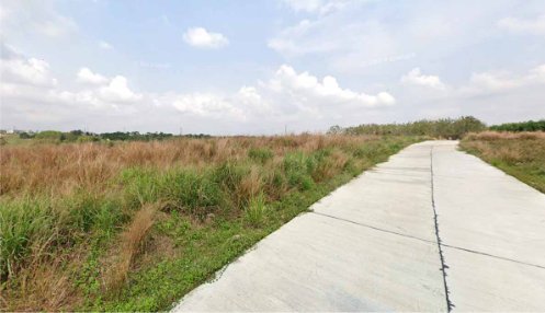 ���Թ 38 ���