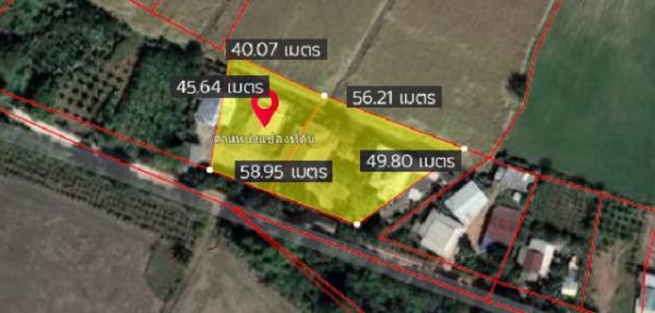 ��ҹ��� �� domepost66