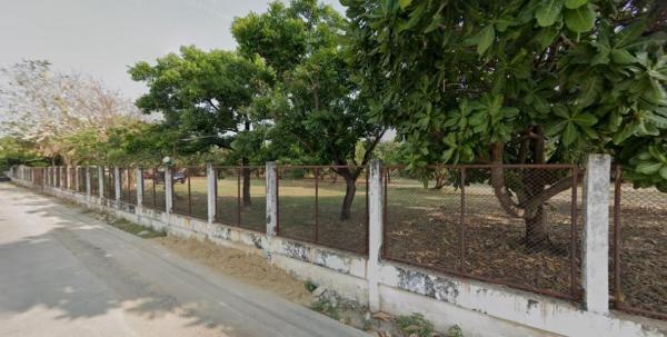 ���Թ���ͧ �� HarrisonTH