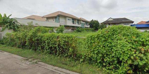 ���Թ�ҧ�� �� HarrisonTH