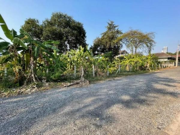 �ź��� �� ahousepost9