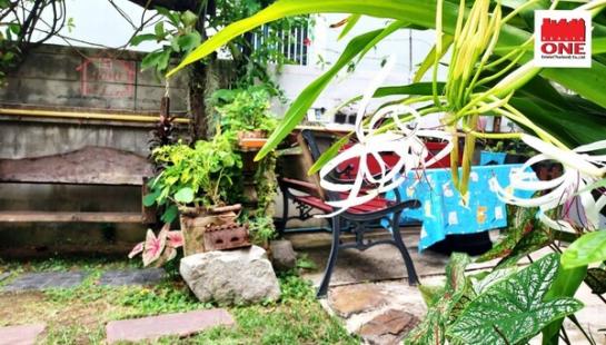 ��º�ҹ ��§�ҹ���