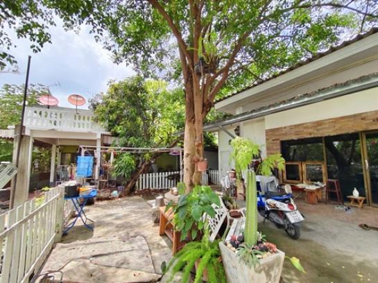 ��º�ҹ ���ͧ��¹ҷ��¹ҷ