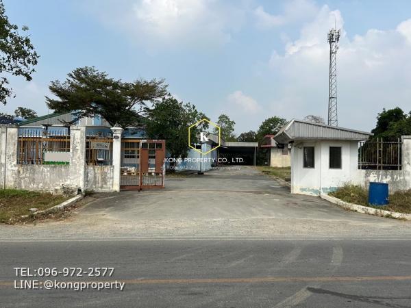 �����ҹ �� Kong property