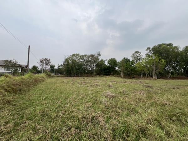 ขายที่ดิน เจ้าของขายเอง มหาสารคาม