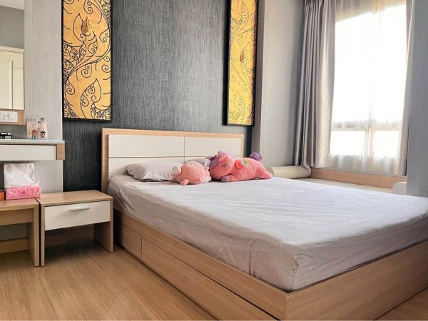 �͹�79 31 3,230,000 �ҷ