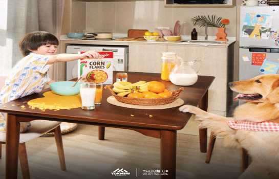 ����Ѳ�� �� Yoknewproperty