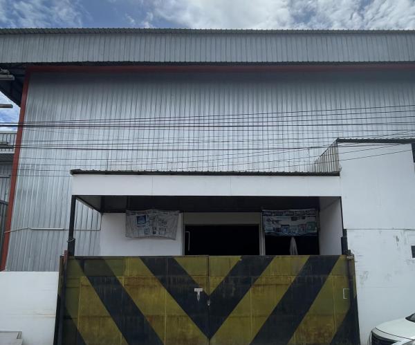 �Ҵ������� �� Kong property