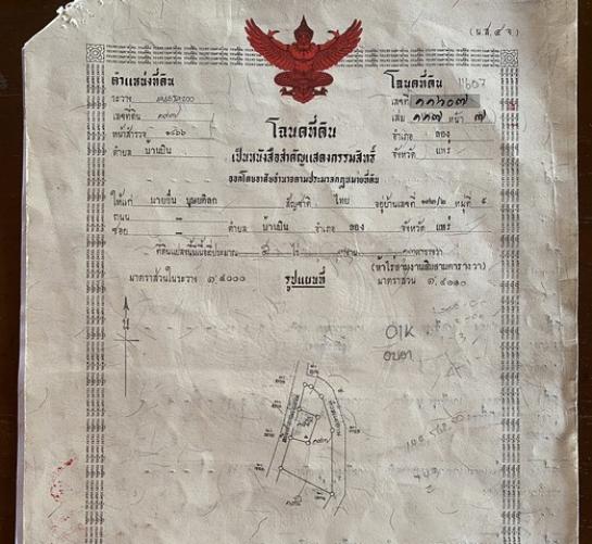 ��� �� sopa