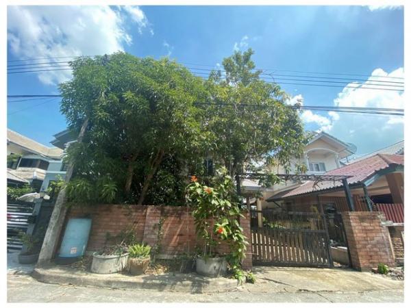 �����ҹ� �� panaya.opalopal