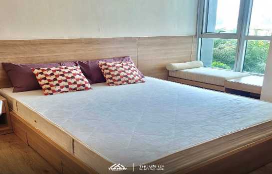 ��ا෾ �� Yoknewproperty