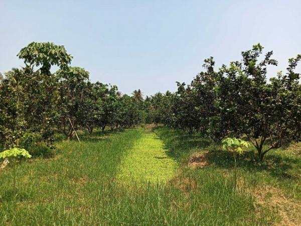 �ҡ �� zionasset1