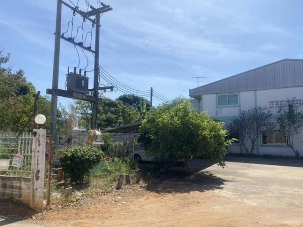 �ç�ҹ���������� �ź���