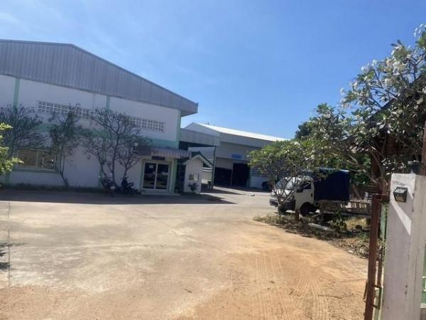 �ç�ҹ �ź���