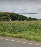 ���Թ �Ѳ�ҹԤ�