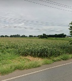 ��·��Թ �Ѳ�ҹԤ�