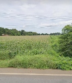 ��� ���Թ �Ѳ�ҹԤ� ž����