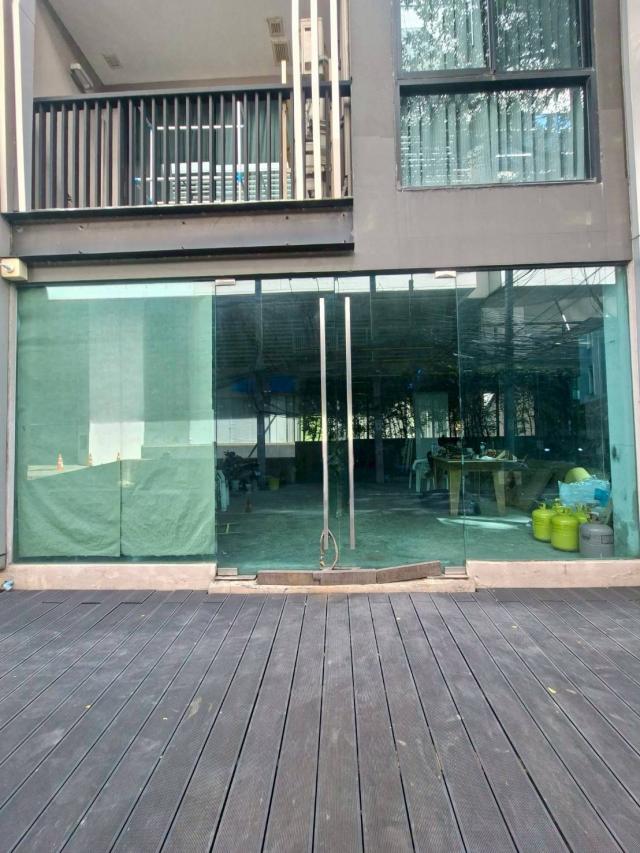 �����¹��� ���˹����ѧ�������Ѿ��