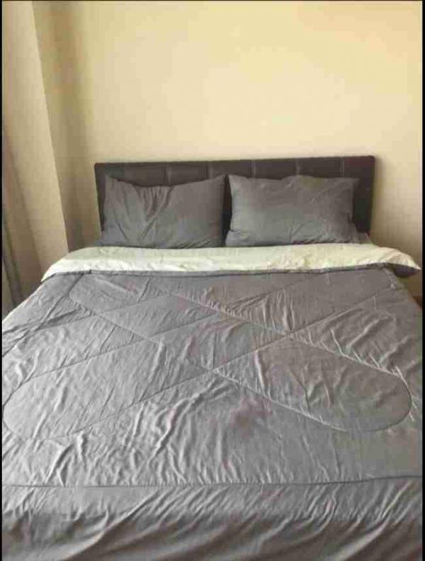 ���⢹� �� ��