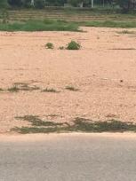 ��·��Թ ���ͧ�ҹ