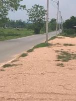 ���Թ ���ͧ�ҹ