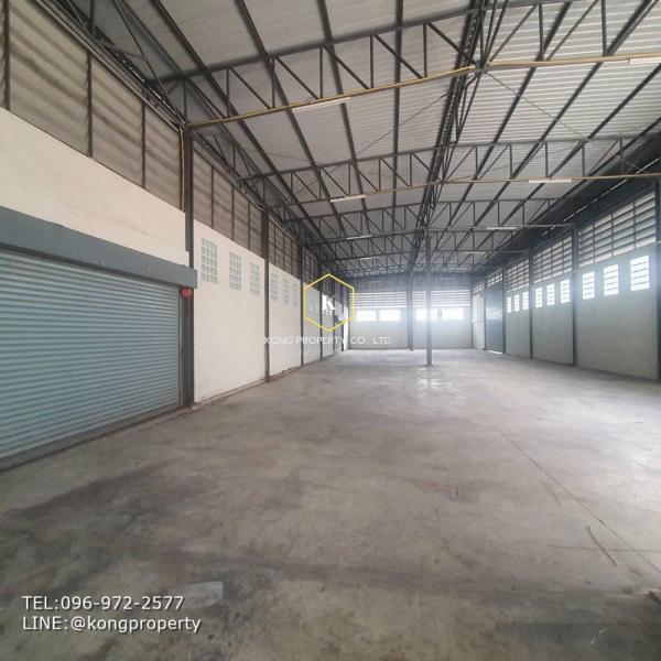 ������� �� Kong property