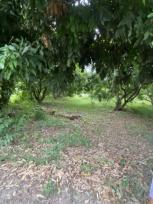 ��·��Թ ����� ��§����