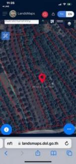 ���Թ �����