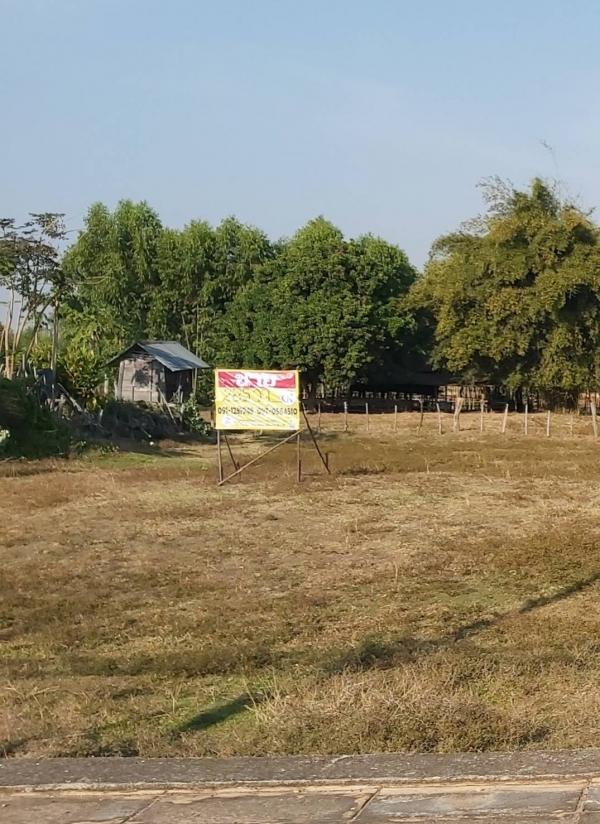 ʡŹ�� �� zionasset1