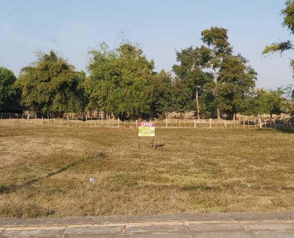 ʡŹ�� �� zionasset1