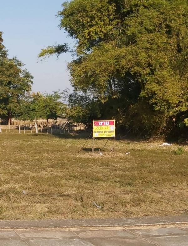 ʡŹ�� �� zionasset1