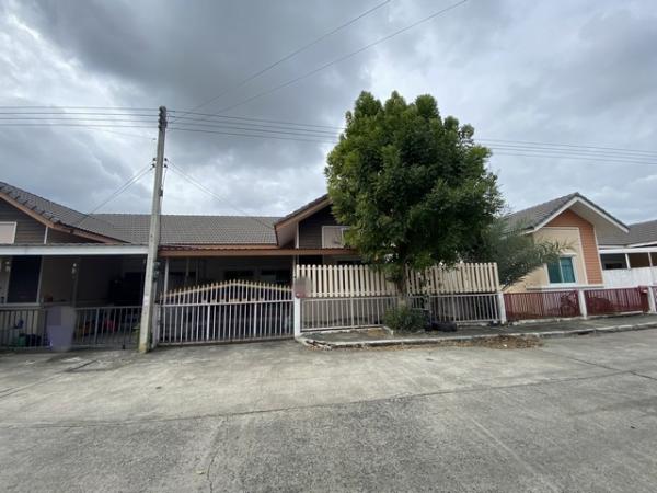 ��ҹ�ѭ���� �� panaya.opalopal