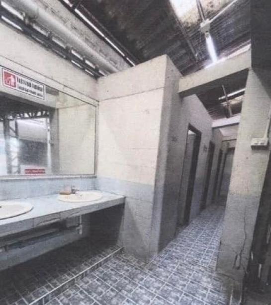 ⡴ѧ������ �ҧ�͡�˭��ا෾