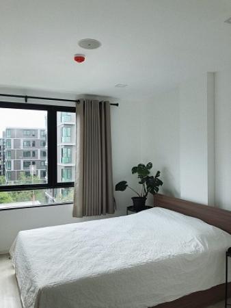 �Ҵ����� �� samita