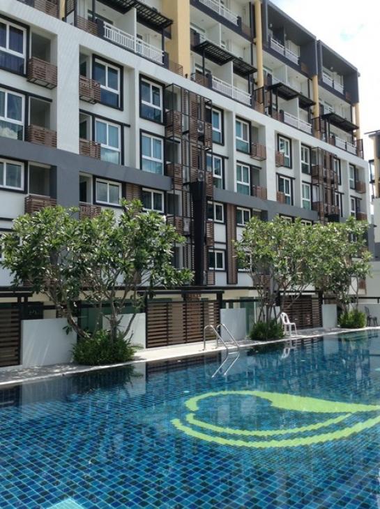 �Ң�ѭ �Ź�����