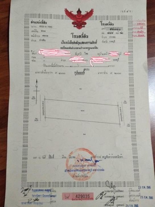 �Ҫ���� �� sopa