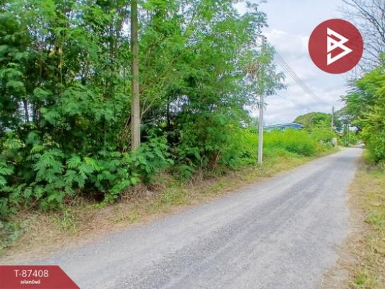 ��û�� �� The Best Property Agent