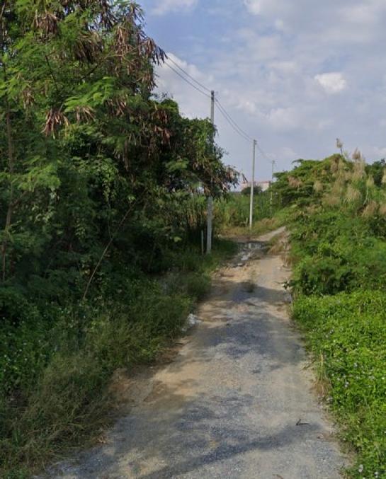 ��û�� �� zionasset1