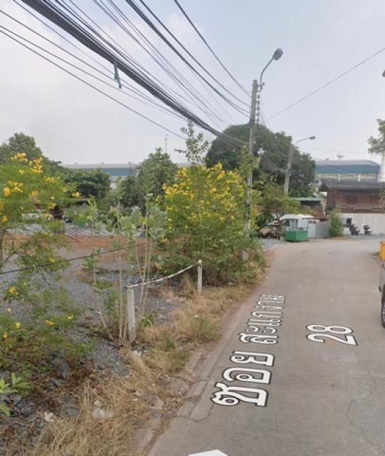 ��ا෾ �� zionasset1