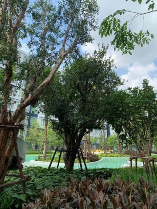 �͹�35 29 2,300,000 �ҷ