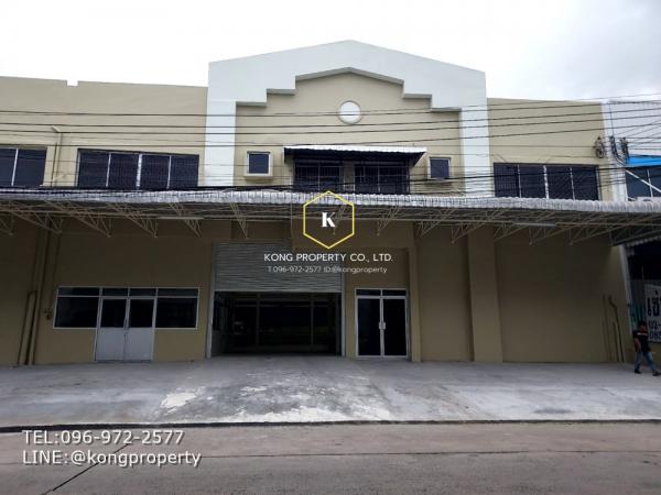 ⡴ѧ�ҧ��� �� Kong property