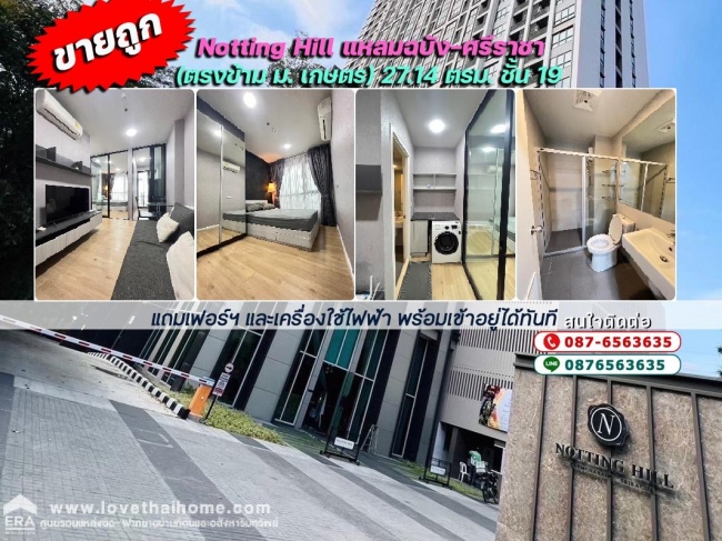 ��¤͹� ���: