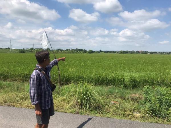 เช่าที่ดิน พัทยา 15,000 บาทต่อเดือน