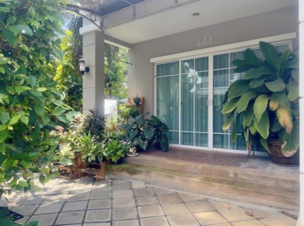 ������ �� kulchaya1